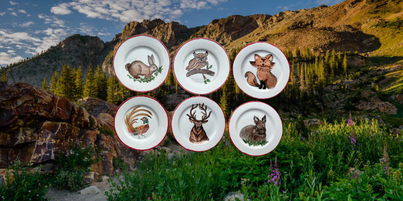 PLATES (Set of 6 And 12)
